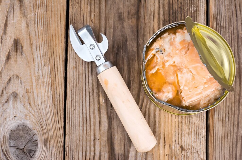 Can Canned Salmon Be Cooked